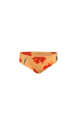 bamm-bamm brief