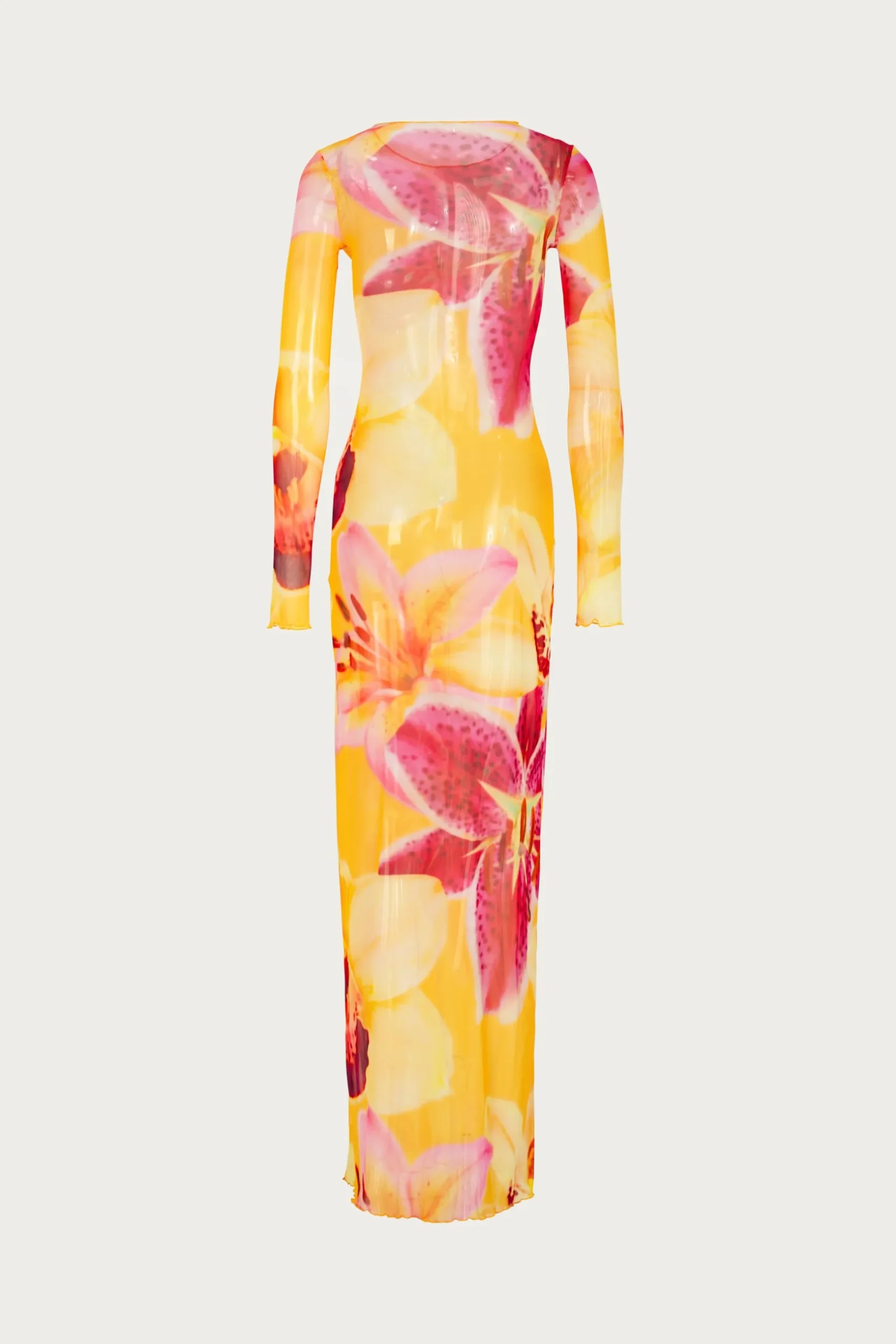 Mesh Maxi Dress