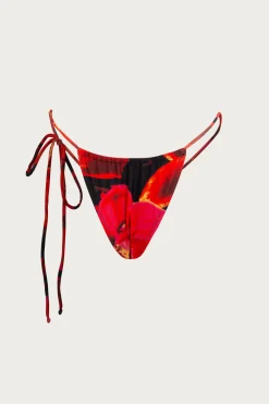 String Bottom
