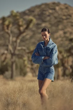 The Perfect Denim Shorts